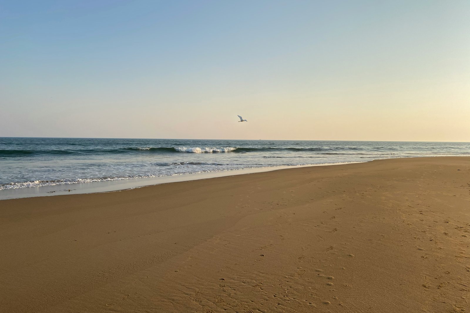 Golden light over the sea at Puri beach, Odisha
